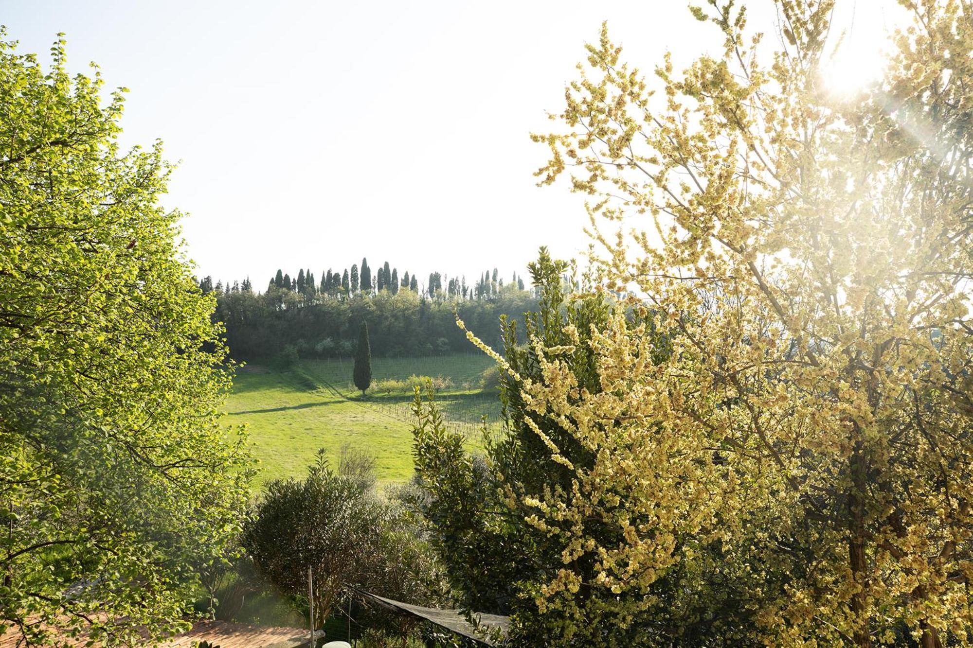 Bed and Breakfast Relais La Rocca Solferino Exterior foto