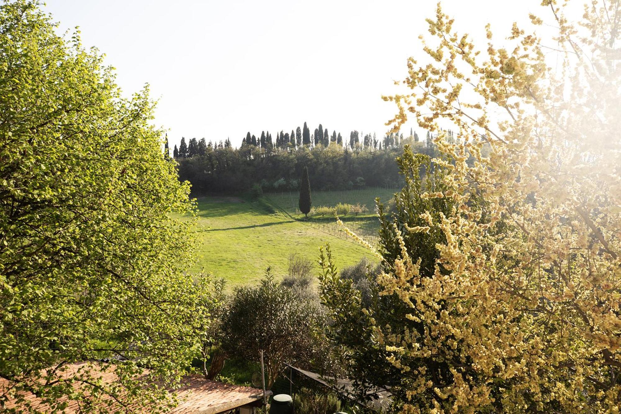 Bed and Breakfast Relais La Rocca Solferino Exterior foto